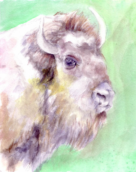 Búfalo   tinta s/papel   20 x 20 cm
