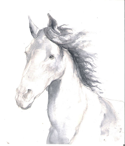Caballo negro    tinta s/papel   20 x 20 cm