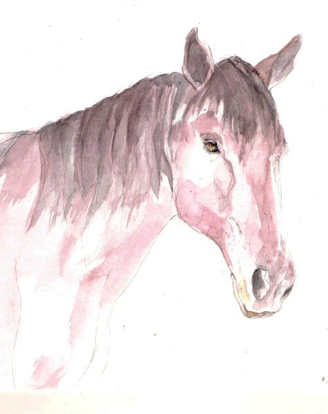 Caballo   tinta s/papel   20 x 20 cm