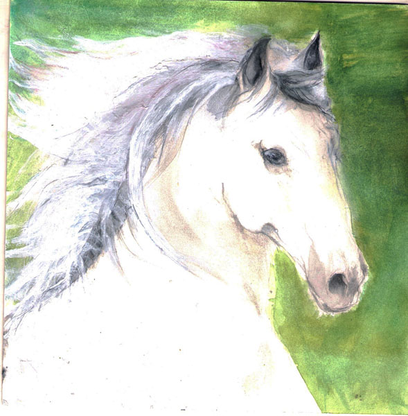 Caballo blanco  tinta s/papel  20x20 cm