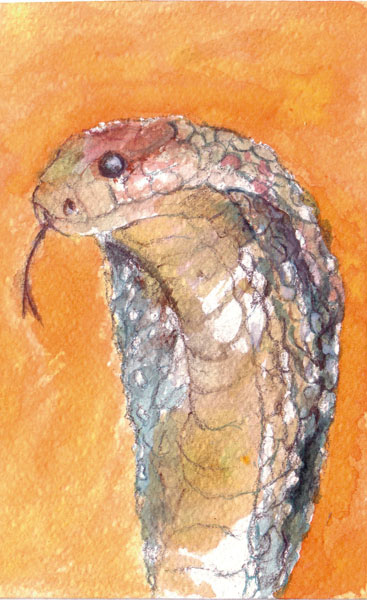 Cobra  tinta s/papel  20 x 20 cm