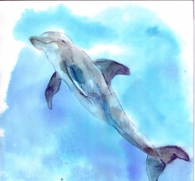 Delfin  tinta s/papel  20 x 20 cm