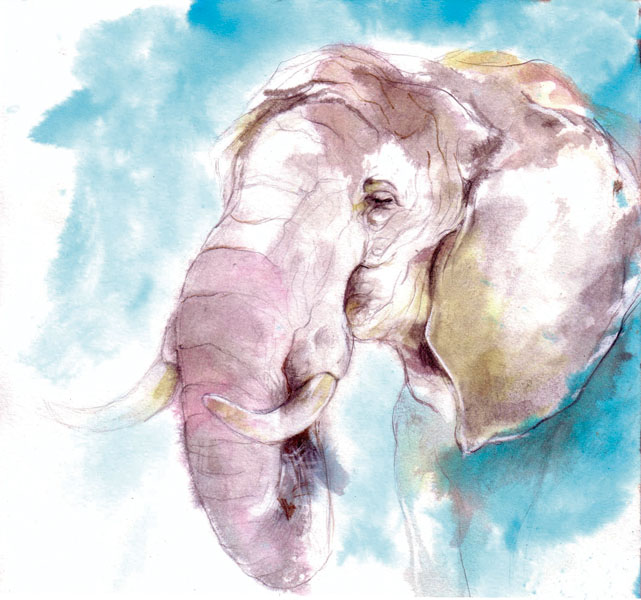 Elefante  tinta s/papel  20 x 20 cm