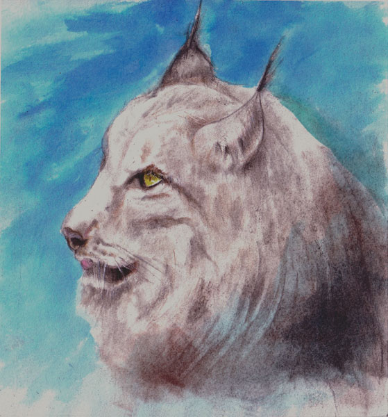 Lince II  tinta s/papel   20 x 20 cm