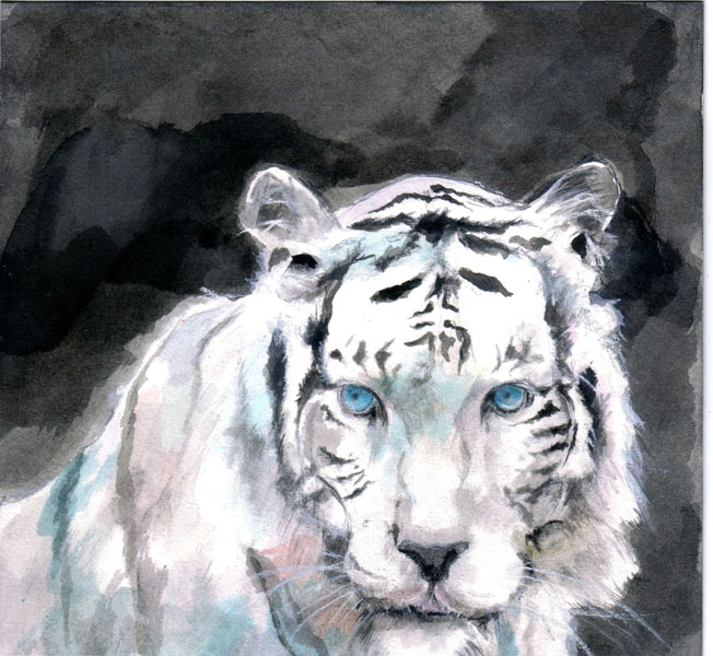Tigre    tinta s/papel    20 x 20 cm