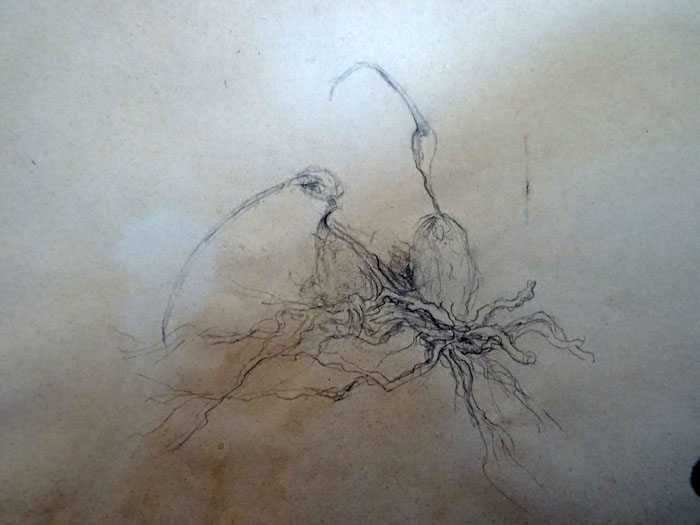 Figurativas2001 02 26