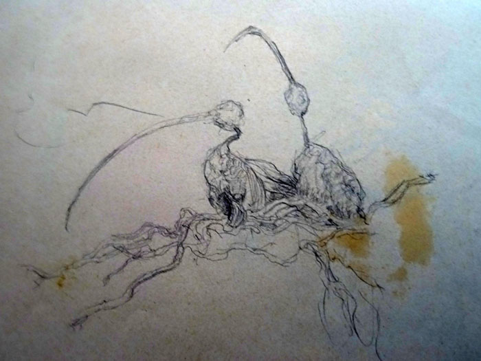 Figurativas2001 02 28