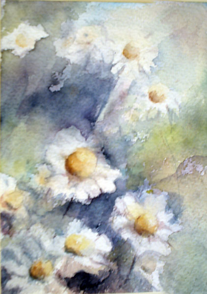 margaritas acuarela s/papel 22,5x16cm