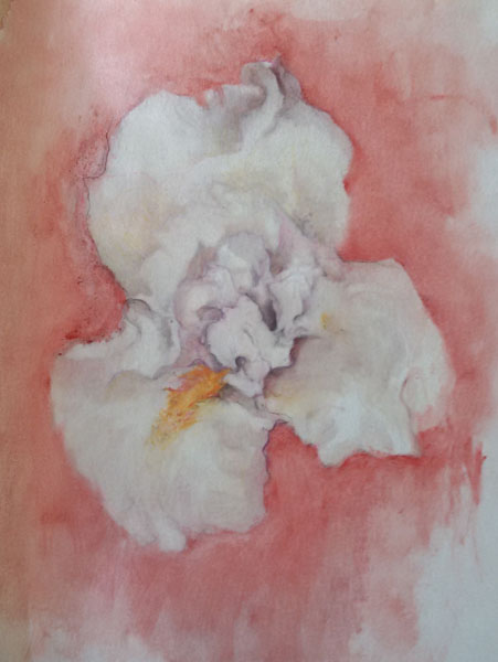 Flor tinta s/paper 40 x 30 cm