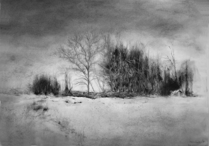 Olmillos en mi memoria   carboncillo s/papel  50x70 cm